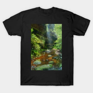 Misty waterspray into the Grand Canyon T-Shirt